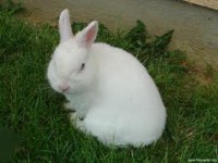 /album/beyza/indir-2-kopya-jpg/